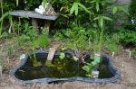 New pond and insect hotel